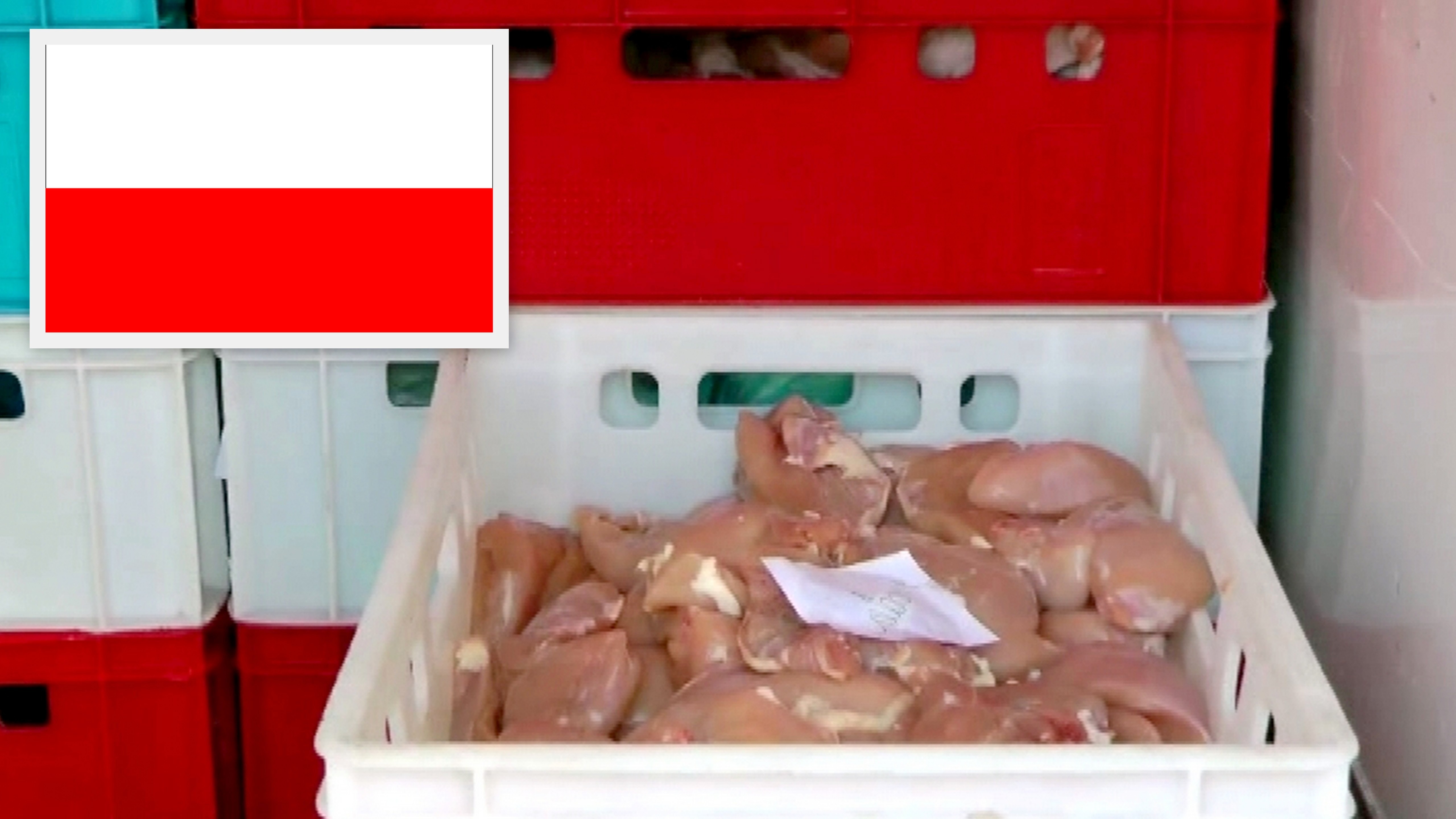 Potraviny_kuracie mäso_prepravka_poľská vlajka_skazené